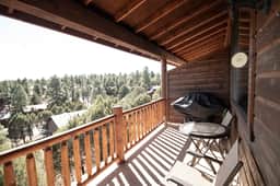 Cozy Cabin | Forest Views | Dog-Friendly
